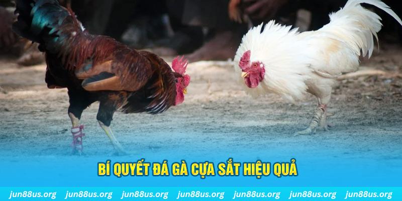 w88bet chơi casino online là gì