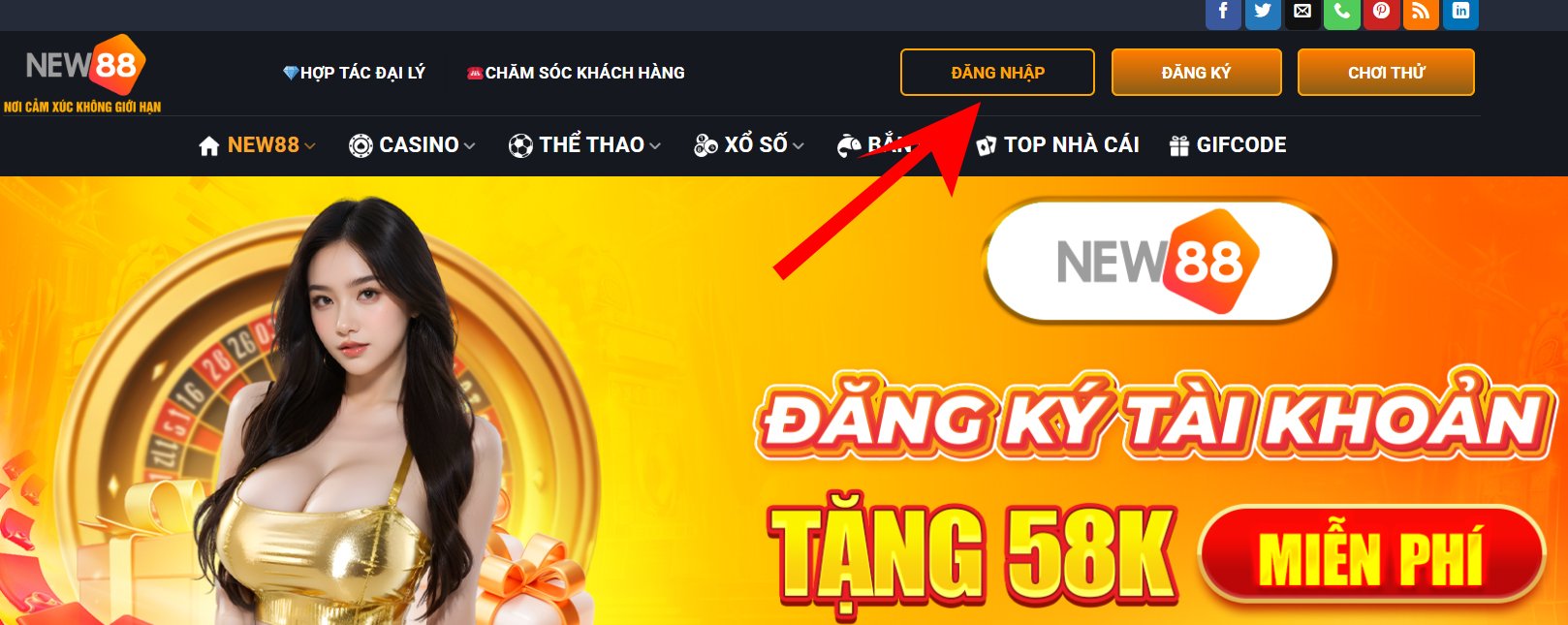 đá gà thomo