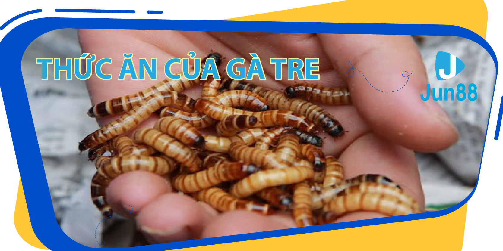 w88bet đăng nhập tiến lên miền nam số 1