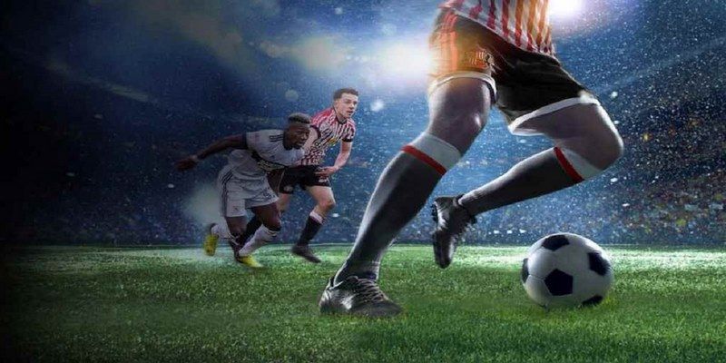 w88bet đá gà trực tiếp hôm nay