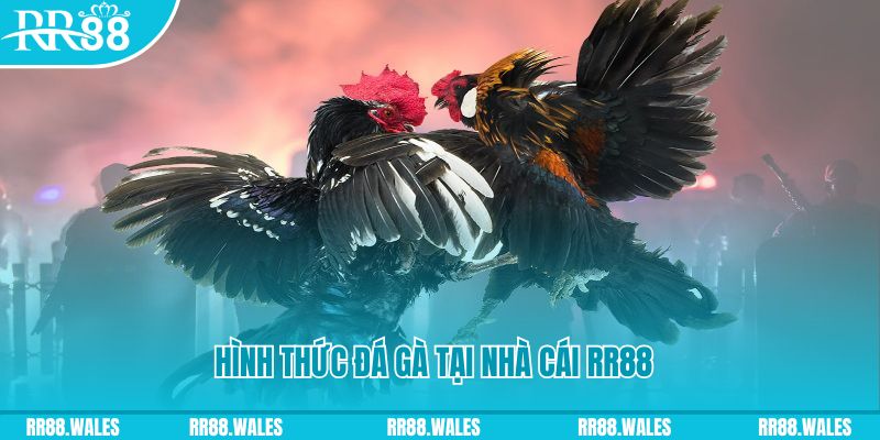 w88bet slot tiếng anh la gì