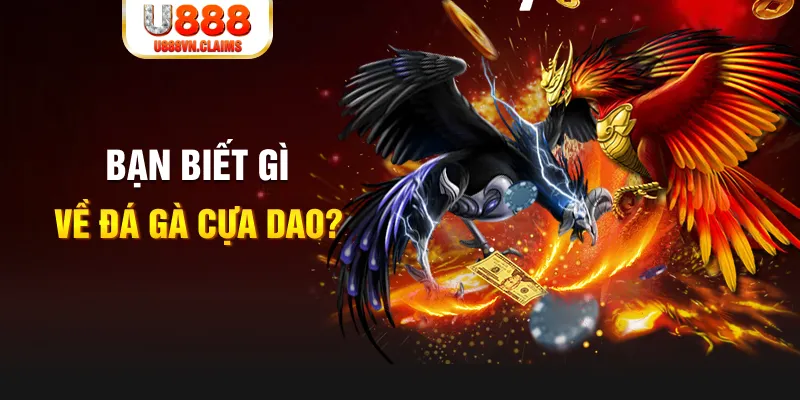 w88bet đăng nhập mậu binh miễn phí