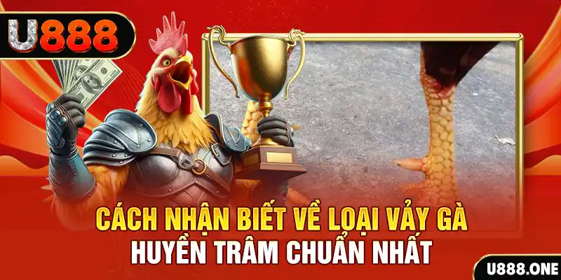 w88bet tai game danh bai tien len tren may tinh