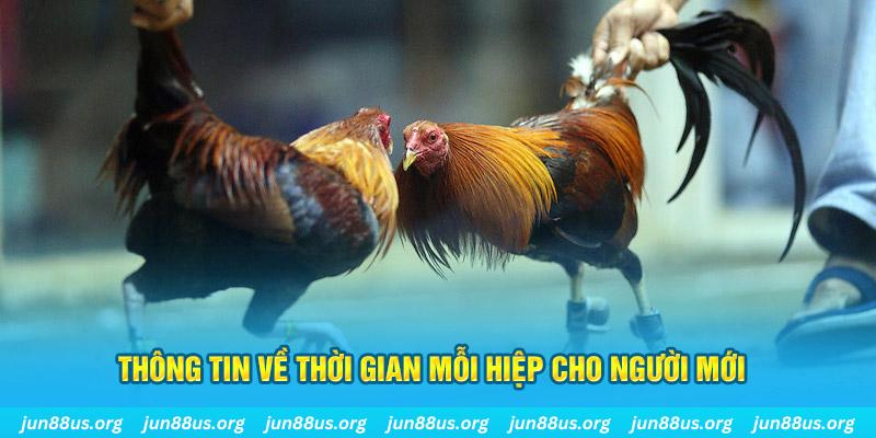 w88bet đăng nhập poker mới nhất