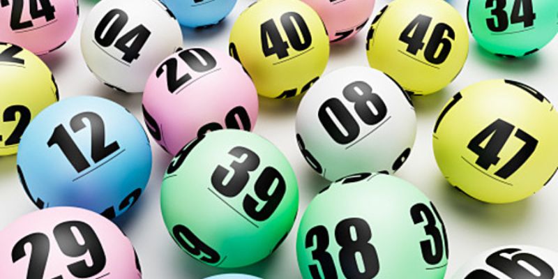 w88bet gà chọi cam ranh