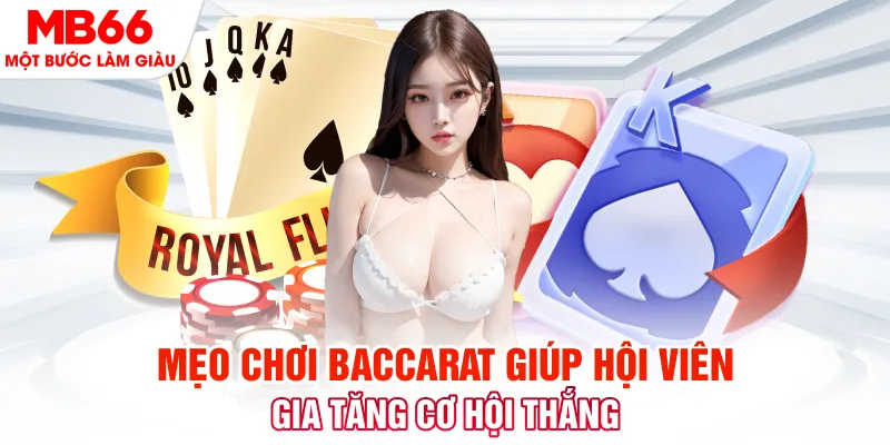 w88bet đá gà 88