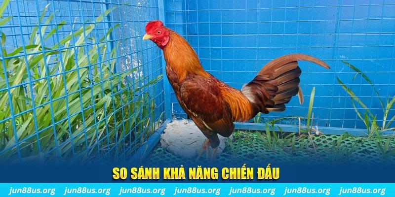 w88bet xổ số tiền giang