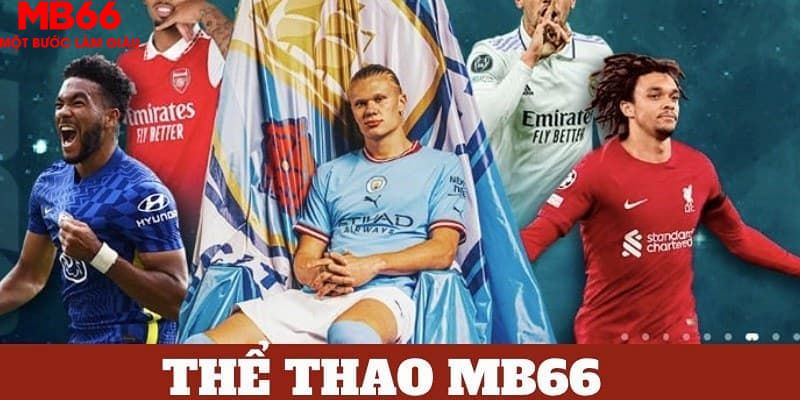w88bet trực tiếp đá gà thomo