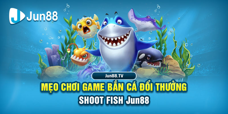 w88bet tai game danh bai bigkool ve may tinh