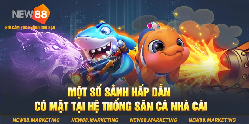w88bet xổ số an giang