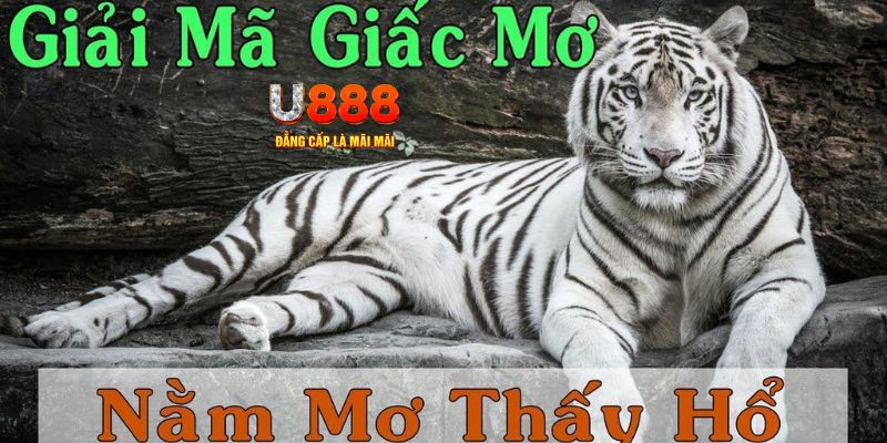 w88bet xổ số kiến thiết miền bắc