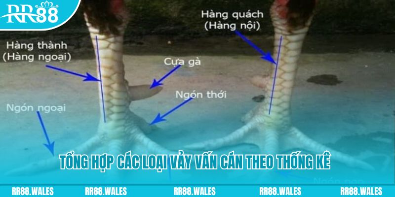 w88bet nổ hũ chơi như thế nào