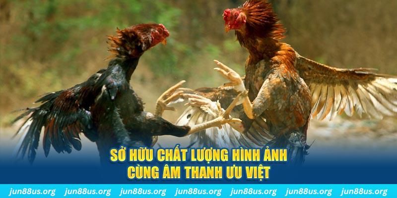 w88bet tai game danh bai ve may tinh