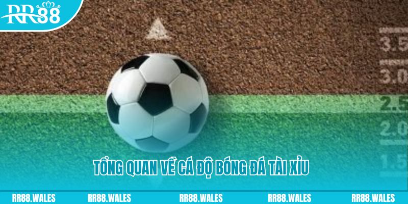 w88bet dự đoán xổ số miền bắc