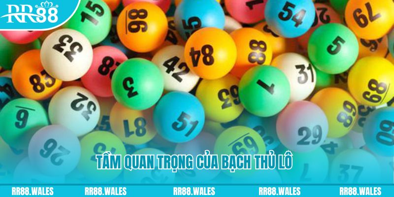 w88bet đá gà trực tiếp casino