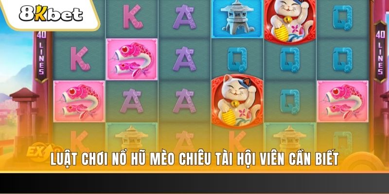w88bet đá gà trực tiếp thomo 67