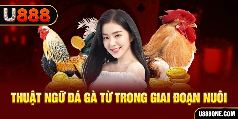 w88bet đăng nhập sòng bạc khuyến mãi