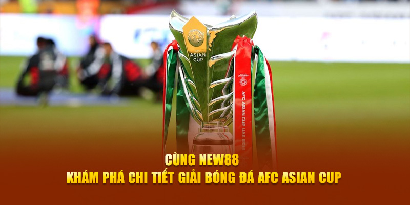 w88bet 78 vảy gà tốt nên chọi