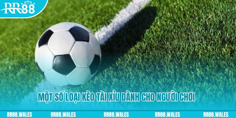 w88bet xổ số miền trung chủ nhật hàng tuần