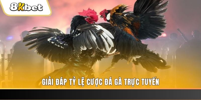 w88bet xổ số ba đài