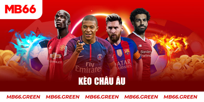 w88bet đá gà thomo hôm nay