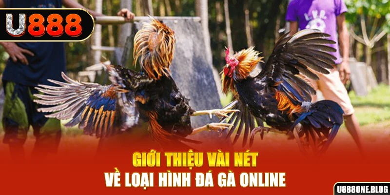 w88bet SA Trực Tuyến
