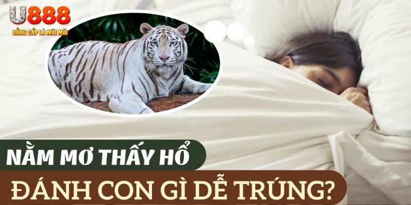 tải nổ hũ trên máy tính