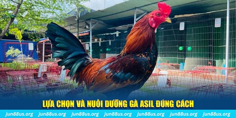 w88bet xổ số đà lạt