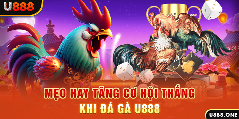 đá gà trực tiếp bình luận viên