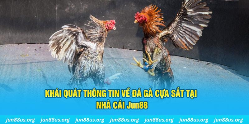 w88bet game bài trên máy tính