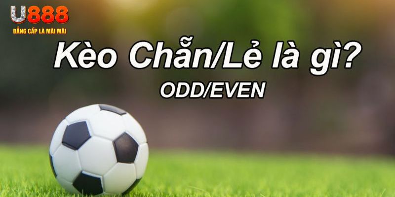w88bet xổ số miền nam chiều nay