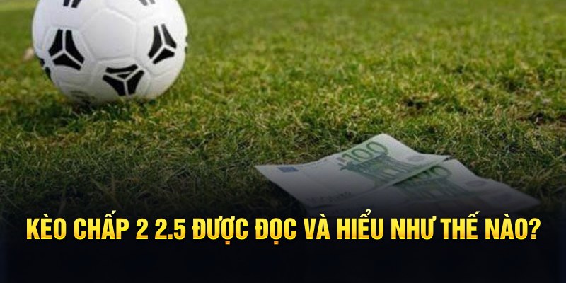 w88bet đá gà thomo