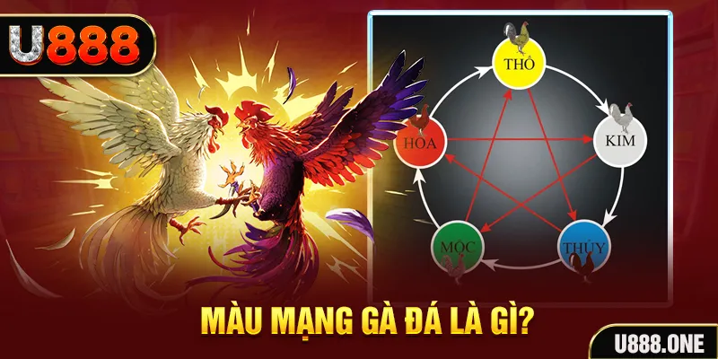 ban ca xeng 2