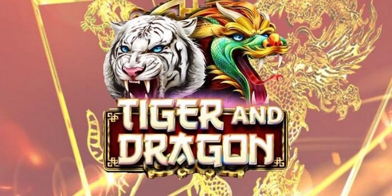 w88bet choi ga c1
