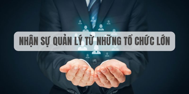 w88bet xổ số quảng bình