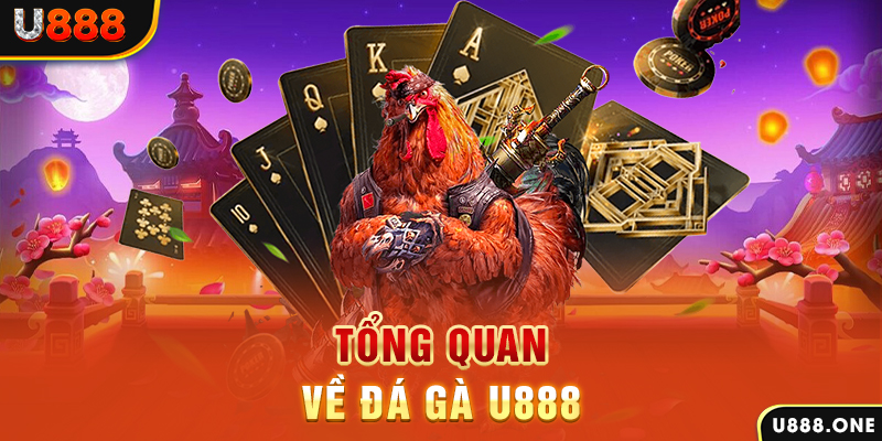 w88bet xổ số miền bắc hôm