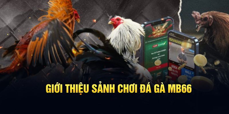 esport là gì
