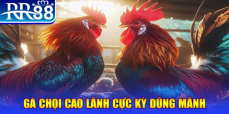 w88bet natural” trong baccarat nghĩa là gì？