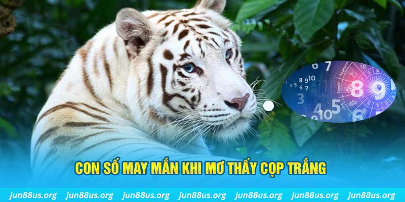 w88bet xổ số bình phước